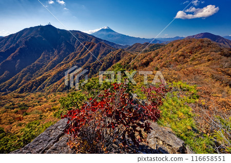 從本社伽丸嶺看到的光峠和富士山的秋葉 從本社伽丸嶺看到的光峠和富士山的秋葉 116658551