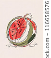 Watermelon red fresh fruit vertical illustration, tasty juice berry 116658576