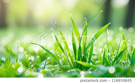 Morning dew on young grass, Generative AI, AI images 116658695
