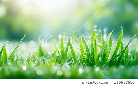 若草的晨露，生成AI，AI圖像 116658696