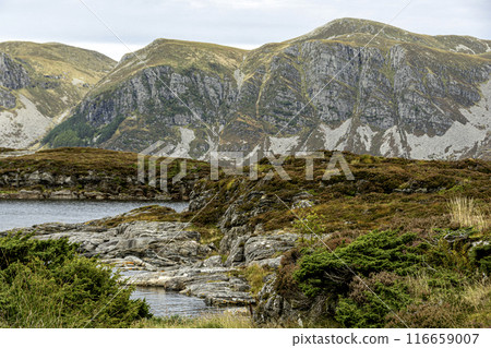 Landscape of low coasts in the Norwegian fjords. Maloy Norway. Landscape of low coasts in the Norwegian fjords. Maloy Norway. 116659007