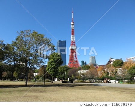 Minato Ward Shiba Park (grass square) with Tokyo Tower and Azabudai Hills Mori JP Tower towering in the background 116659179