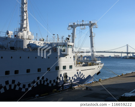 Tokai Kisen's "Salvaria Maru" docked at the Takeshiba Passenger Ship Terminal and the Rainbow Bridge Tokai Kisen's "Salvaria Maru" docked at the Takeshiba Passenger Ship Terminal and the Rainbow Bridge 116659222