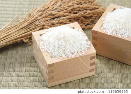 White rice served in a box White rice served in a box 116659365