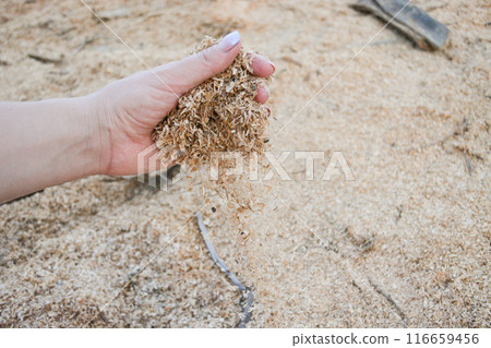 A handful of dry technological wood chips. Selective focus. 116659456