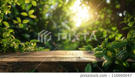 Wooden Tabletop With Sunlight Filtering Through Lush Green Foliage in a Forest Wooden Tabletop With Sunlight Filtering Through Lush Green Foliage in a Forest 116660047