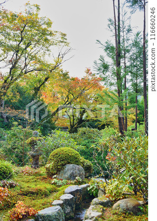 大原實光院美麗的秋天花園（京都市左京區） 116660246