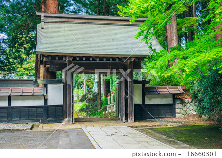 [Saifukuji Temple] Fresh greenery and the mountain gate [Shiojiri City] 116660301