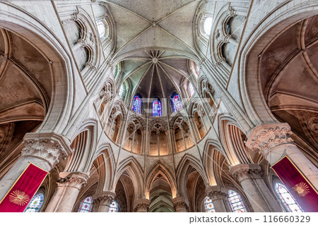 Cathedral Saint Peter, Lisieux, calvados, normandy, France 116660329