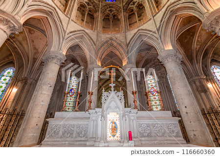 Cathedral Saint Peter, Lisieux, calvados, normandy, France 116660360