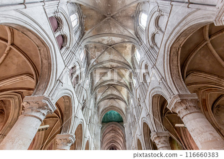 Cathedral Saint Peter, Lisieux, calvados, normandy, France 116660383