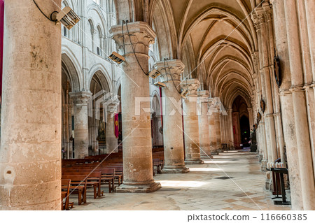 Cathedral Saint Peter, Lisieux, calvados, normandy, France Cathedral Saint Peter, Lisieux, calvados, normandy, France 116660385