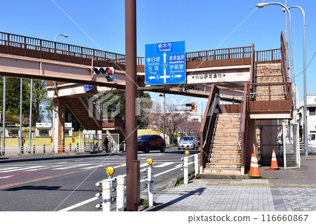 Oyama City, Tochigi Prefecture, Oyama Hyōjō-dōri and Gion-dōri intersection 116660867