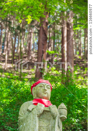 [Saifukuji Temple] Fresh greenery and Jizo statue [Shiojiri City] 116660977