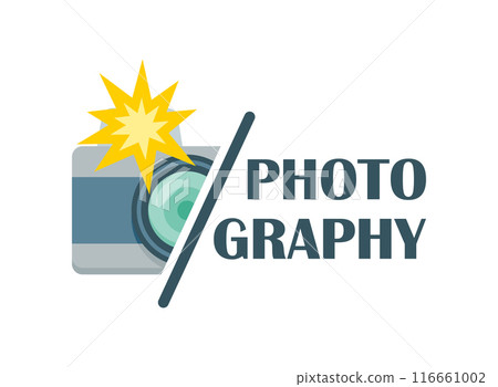 Camera icon in flat style. Photography vector illustration on isolated background. Photo sign business concept. 116661002