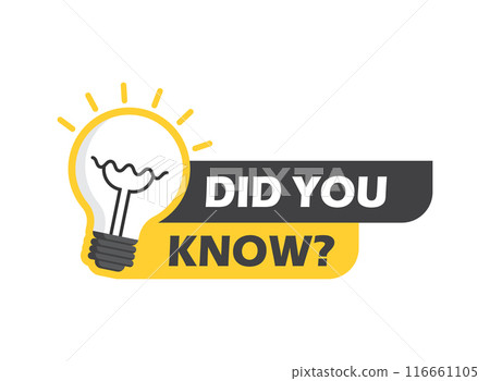 Did you know icon in flat style. Banner with frame and bulb vector illustration on white isolated background. Explanation sign business concept. 116661105