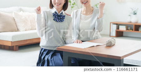 High school girl and tutor 116661171