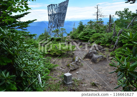 Nikko Renjin 116661627