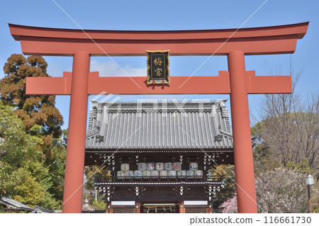 Torii of Umemiya Taisha Torii of Umemiya Taisha 116661730