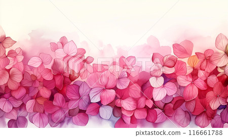 watercolor illustration of pale pink background of hydrangea petals with empty space 116661788