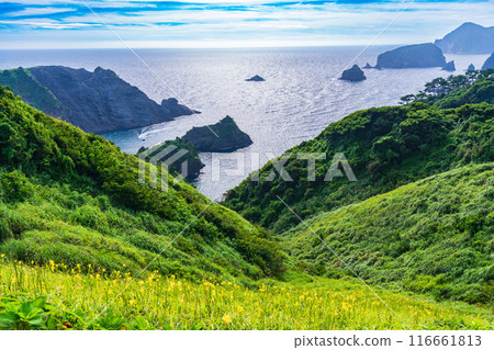 [Shizuoka Prefecture] Evening view of Cape Okuiro with day sedges in bloom 116661813