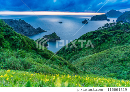 [靜岡縣] 夕菅花開的奧色崎的夜景 116661819