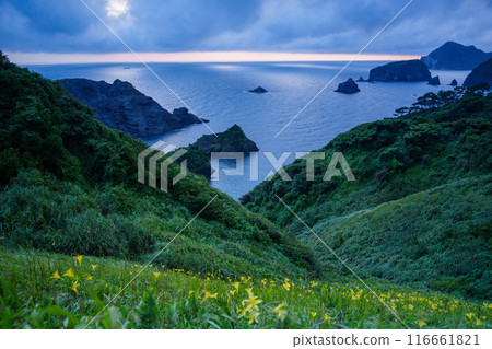[靜岡縣] 夕菅花開的奧色崎的夜景 116661821