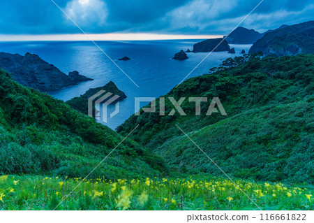 [Shizuoka Prefecture] Evening view of Cape Okuiro with day sedges in bloom 116661822