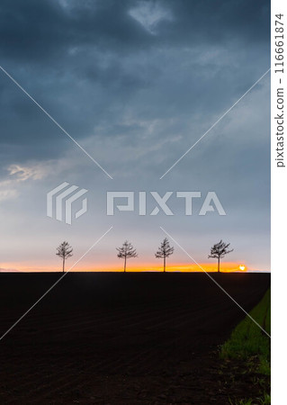 Hill of fairy tale 116661874