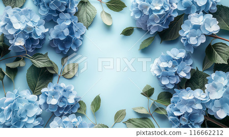 watercolor illustration of a delicate blue background of hydrangea flowers with empty space 116662212