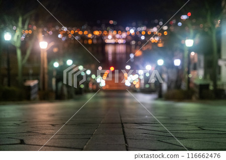 [#Hakodate] Night view from Hachimanzaka 116662476