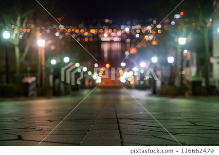 [#Hakodate] Night view from Hachimanzaka 116662479