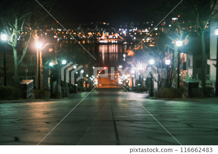 [#函館]八幡坂的夜景 116662483
