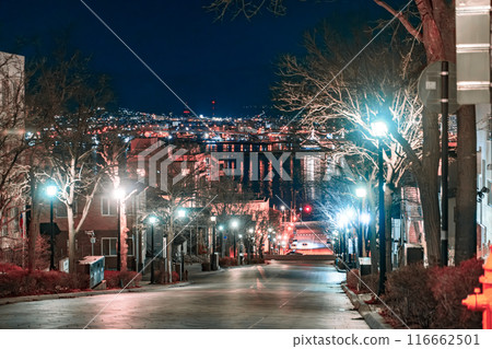 [#函館]八幡坂的夜景 116662501