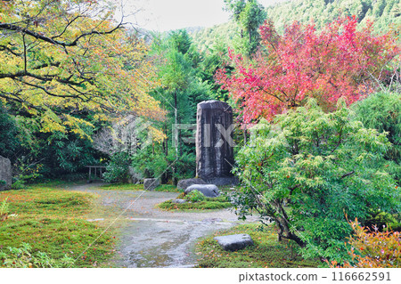 大原實光院舊立學院庭園 美麗的秋天庭園（京都市左京區） 116662591