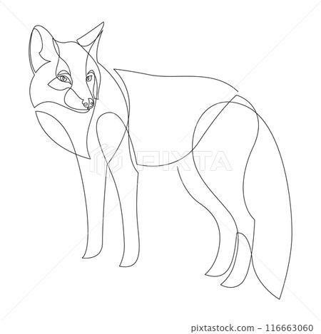 Continuous line drawing of fox. One line art animal. Vector illustration. Continuous line drawing of fox. One line art animal. Vector illustration. 116663060