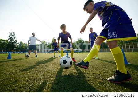 Young soccer players, boys in purple uniforms practicing dribbling exercises, focusing on ball control. Children training soccer outdoors Young soccer players, boys in purple uniforms practicing dribbling exercises, focusing on ball control. Children training soccer outdoors 116663113