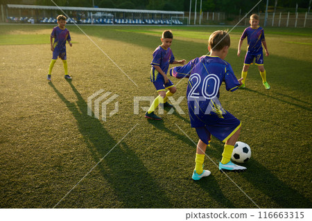 Young soccer players, boys in blue uniforms practicing passing ball skills, training soccer game on sunny field, demonstrating enthusiasm. Young soccer players, boys in blue uniforms practicing passing ball skills, training soccer game on sunny field, demonstrating enthusiasm. 116663315