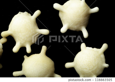 太陽的沙子 太陽的沙子 116663505