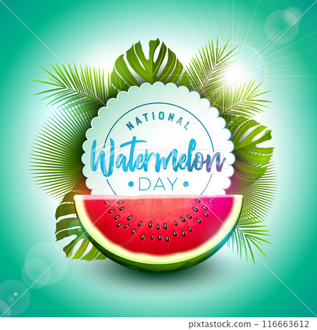 National Watermelon Day Design with Fresh Fruit Slice and Tropical Palm Leaves on Green Background. August 3 Vector Celebration Holiday Illustration with Typography Letter for Banner, Greeting Card National Watermelon Day Design with Fresh Fruit Slice and Tropical Palm Leaves on Green Background. August 3 Vector Celebration Holiday Illustration with Typography Letter for Banner, Greeting Card 116663612