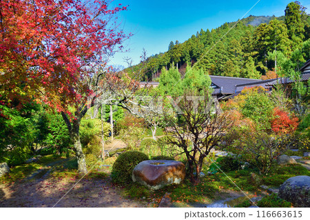 大原實光院舊立學院庭園 美麗的秋天庭園（京都市左京區） 116663615