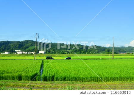 View from the train window from Echigo-Kawaguchi Station to Yashiki Station on the JR East Joetsu Line (Summer 2022) 116663913