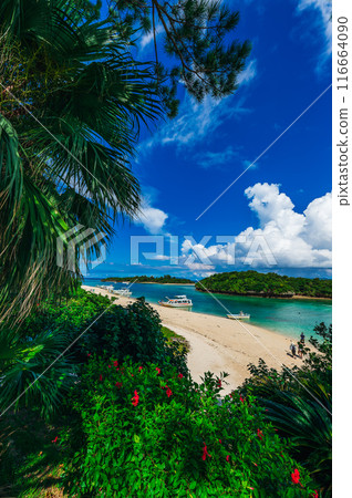 石垣島川平灣（縱向） 116664090