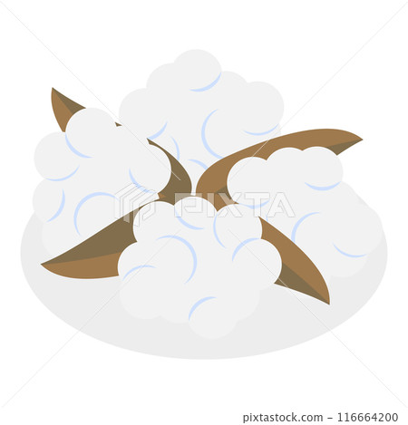 3D Isometric Flat Vector Illustration of Cotton Flower Collection, Pure and Organic Product. Item 7 116664200