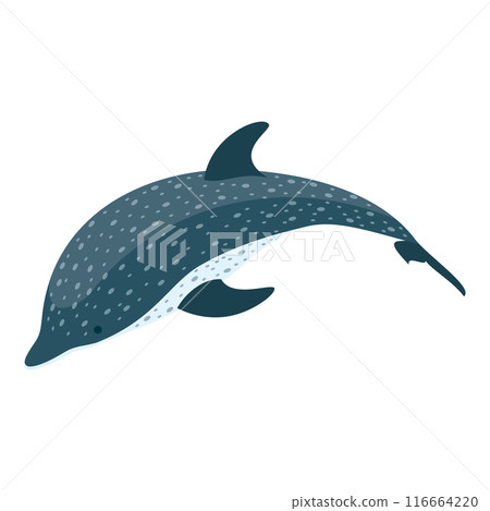 3D Isometric Flat Vector Set of Types Of Dolphins, Educational Classification. Item 1 3D Isometric Flat Vector Set of Types Of Dolphins, Educational Classification. Item 1 116664220