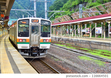 從 JR 東上越線越後中里站到水上站的車窗看到的景色（2022 年夏季） 116664501