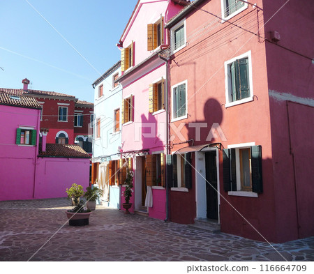 Burano  Italy 116664709