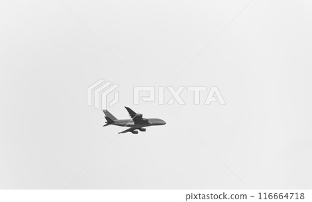 Airplane flying in the sky Airplane flying in the sky 116664718