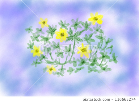 開花在晚上的花 開花在晚上的花 116665274