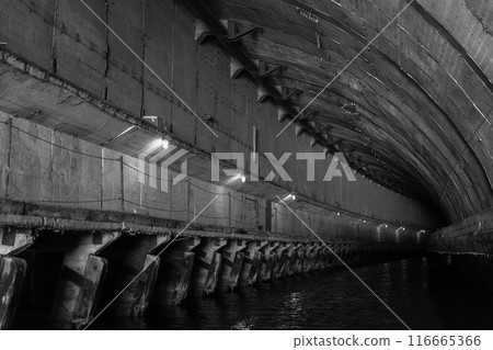 Empty concrete tunnel interior perspective, Balaklava Empty concrete tunnel interior perspective, Balaklava 116665366